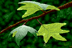 Leaf by PCM