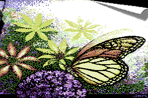 Butterfly by DocJM