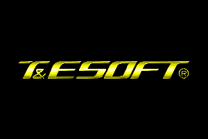 T&E SOFT logo