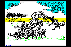 Zebra by Emilio Serrano Garcia