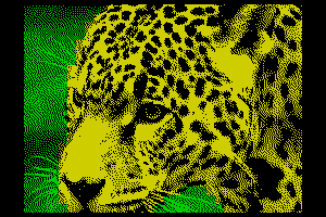 Leopard by Stingrey