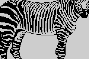 Zebra by Pixel