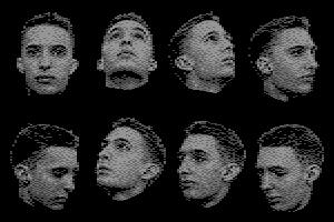 Heptagonal Faces: Clone by Joe
