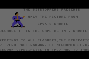 The Picture from Epyx's Karate by Bitstoppers