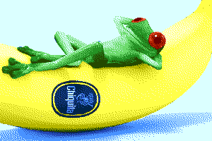 Chiquita by Kaczor