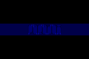Paradox Logo 1 by Senser