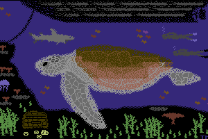 Turtle by The Mysterious Art