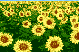 Sunflowers Atari irgendwer