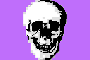 Skull by Syntax Error Software