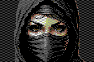 Female Ninja by Robert Ramsay