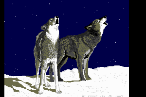 WOLVES by Mi Kyung Kim