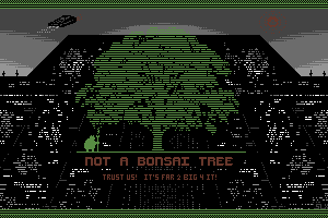 Not a Bonsai by Slaxx