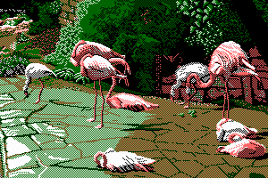 FLAMINGO by Jill Lawson