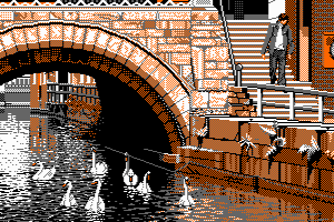 SWANS by Jill Lawson