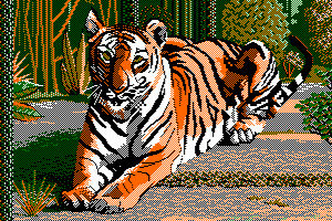 TIGER by Jill Lawson
