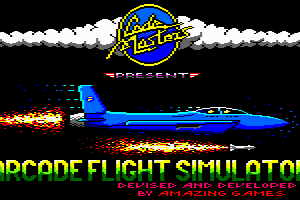 Arcade Flight Simulator