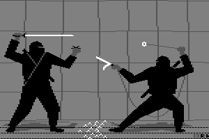 Fighting Ninjas by Radwar
