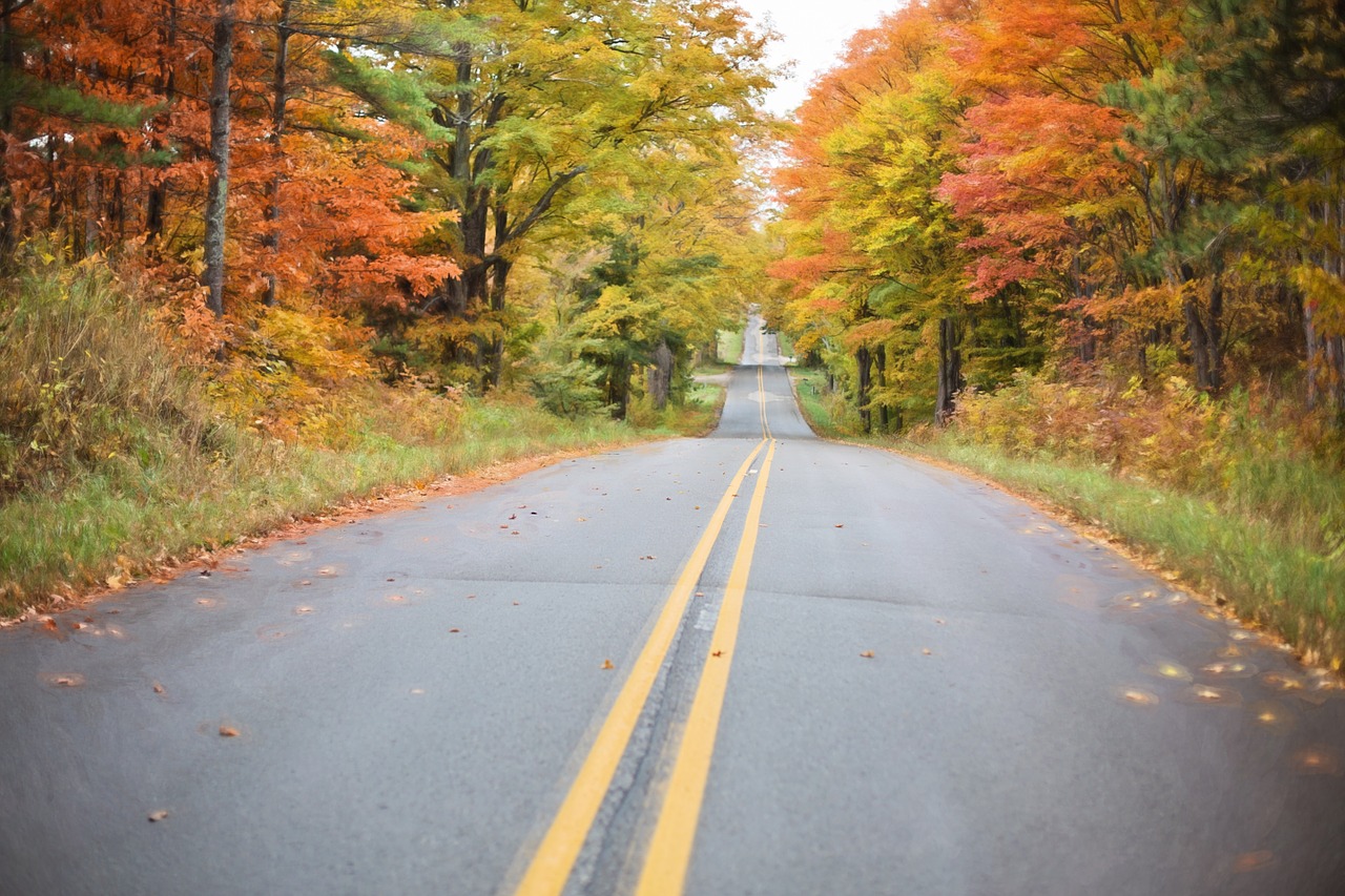 Image - autumn fall road yellow nature