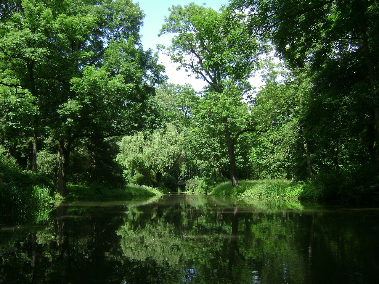 Image - warsaw poland park forest trees