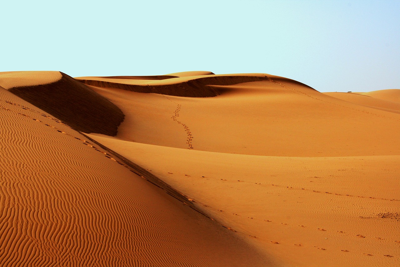 Image - desert africa bedouin footprints