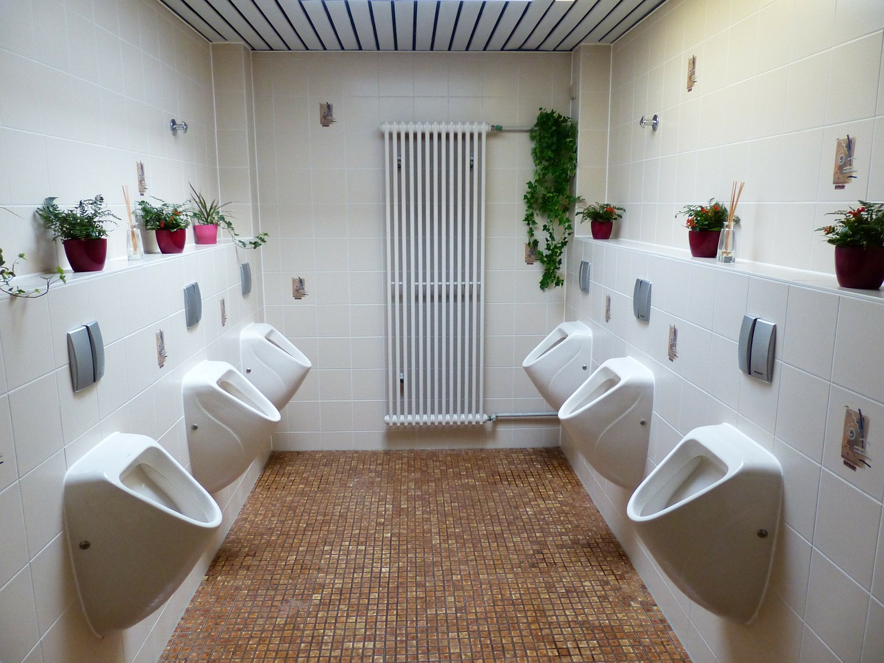 Image - toilet wc urinal public