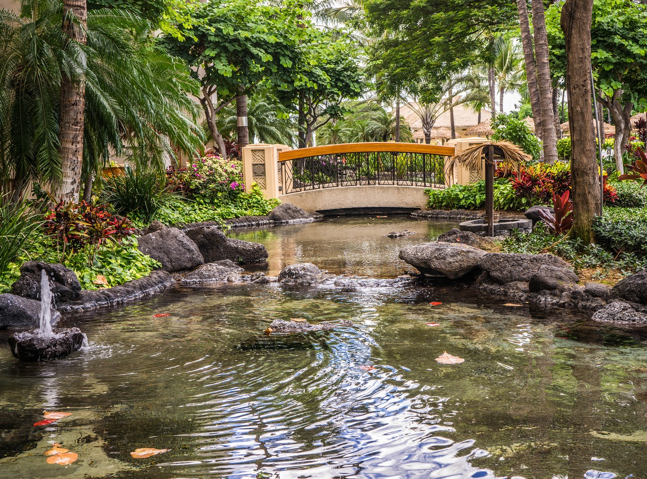 Image - pond resort bridge koi pond