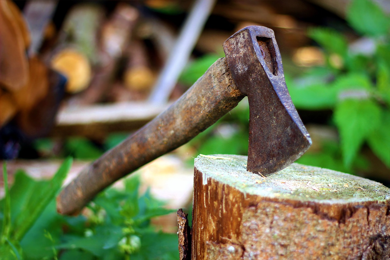 Image - axe old lumberjack blade