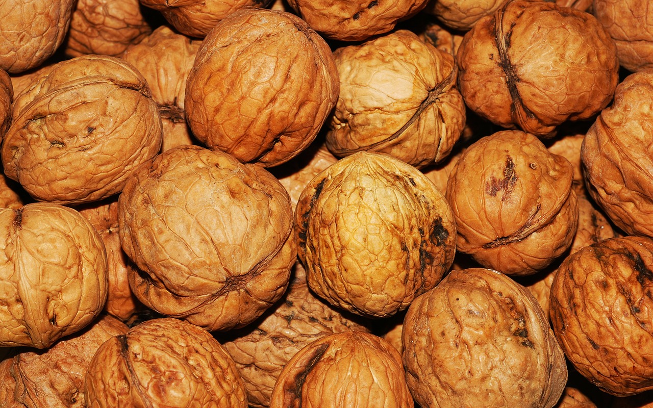 Image - walnut walnuts nuts brown nut