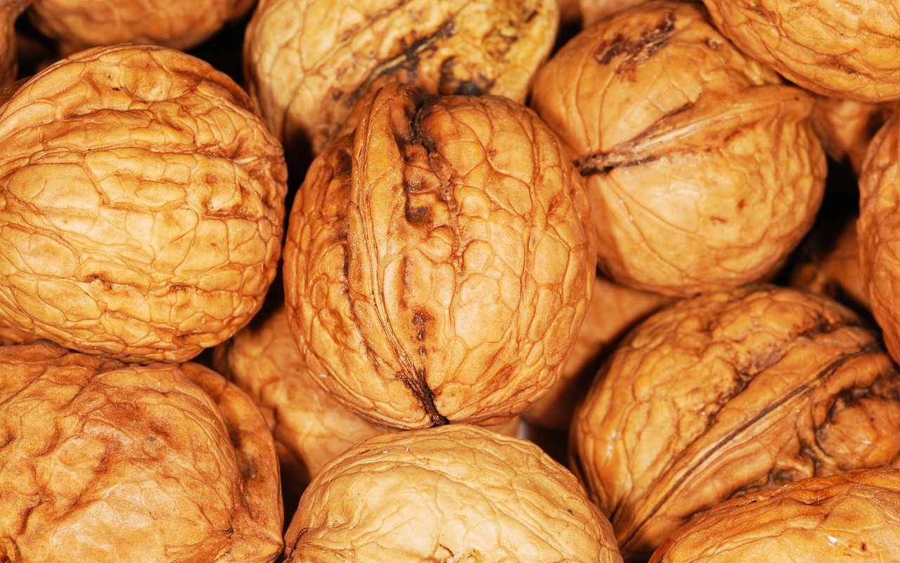 Image - walnut walnuts nuts brown nut