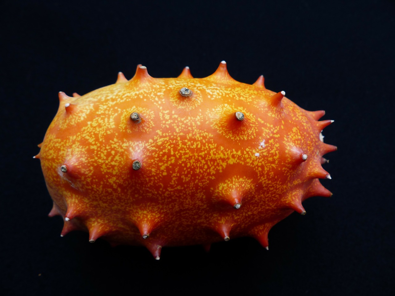 Image - kiwano fruit horn cucumber prickly