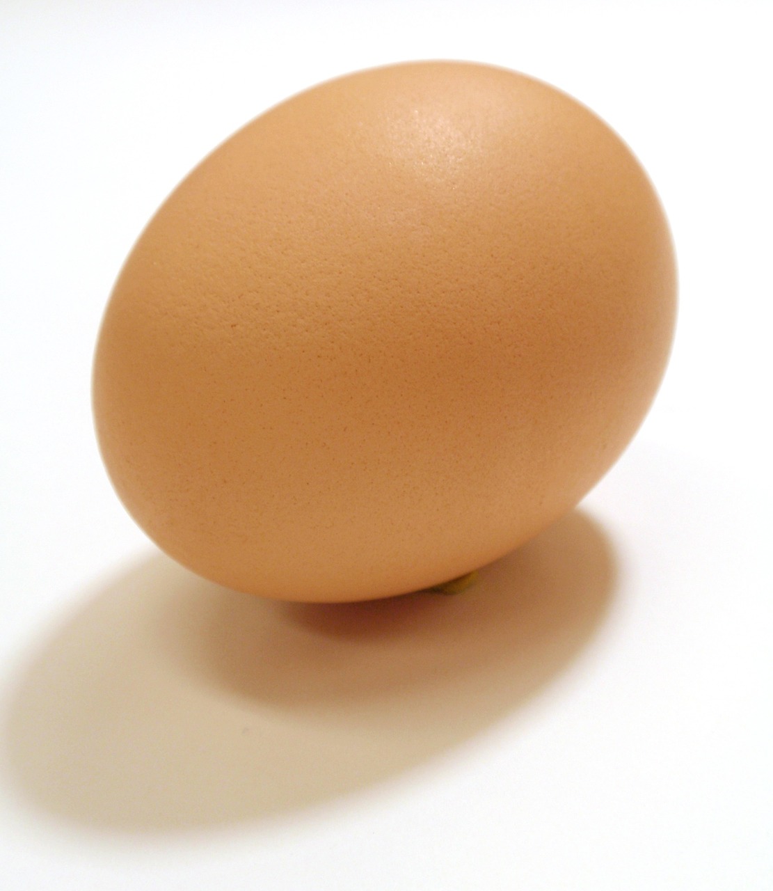 Image - eggs fried hard chicken chook