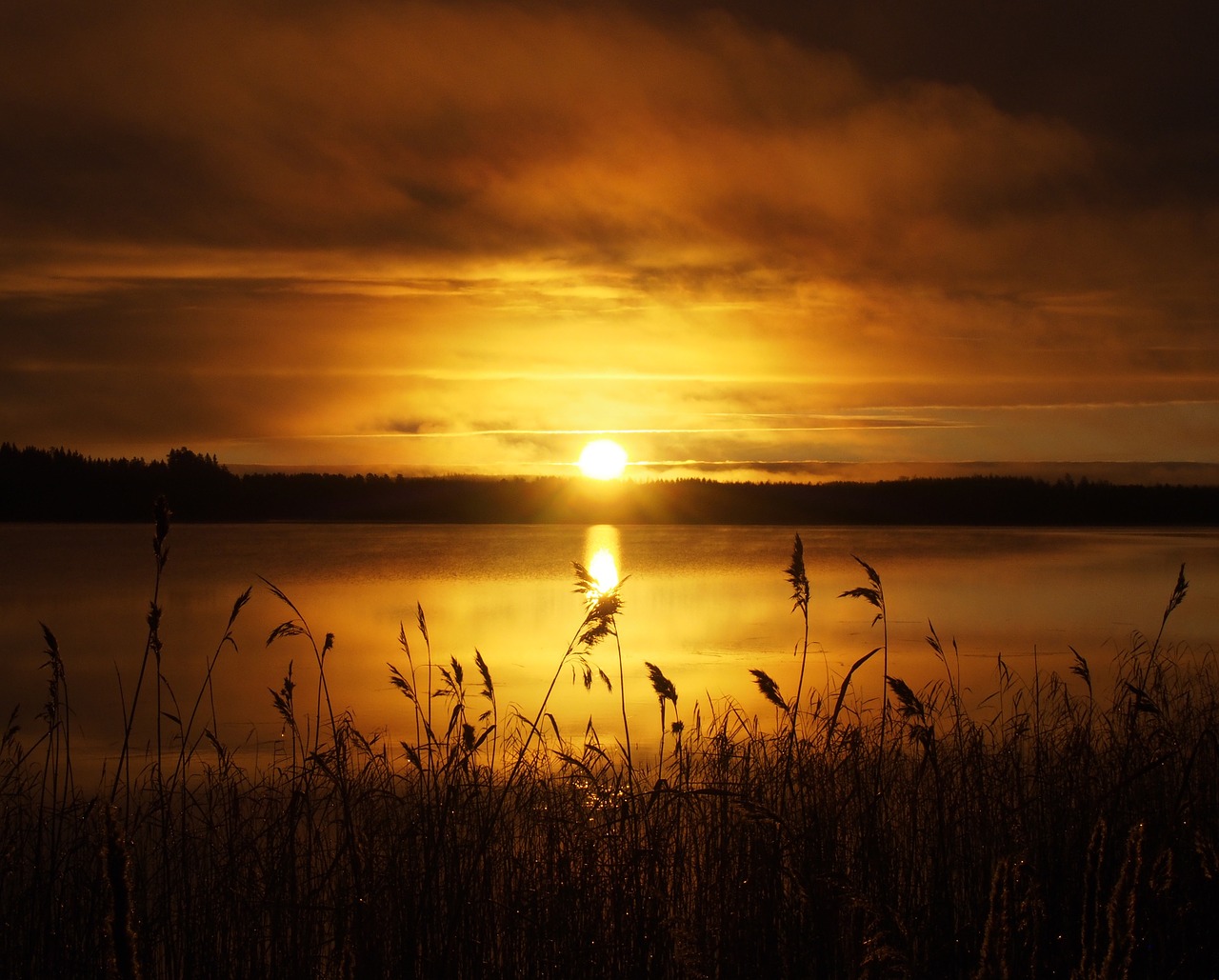 Image - sun rushes morning sky water