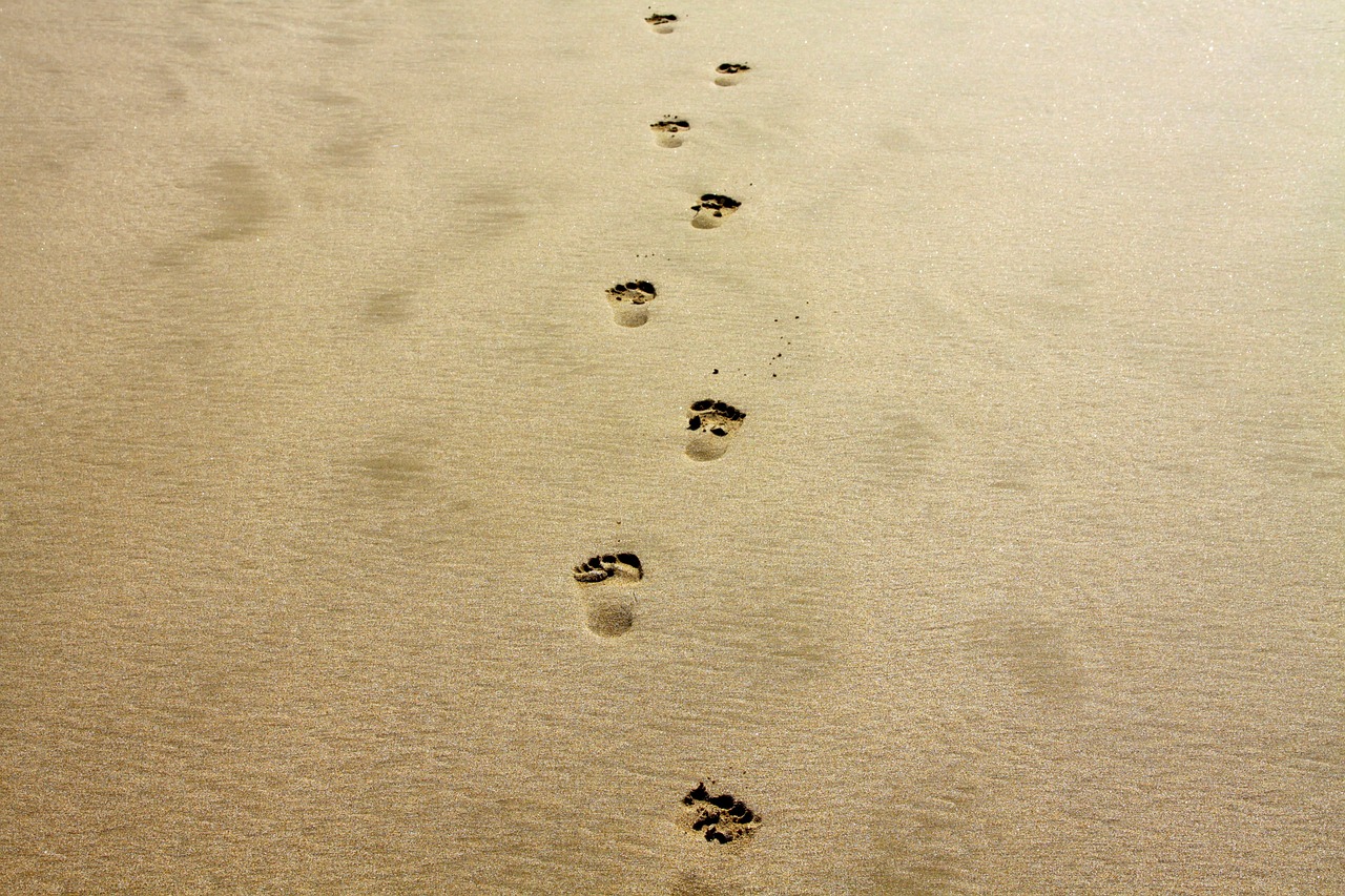 Image - footprint sand alone vacation