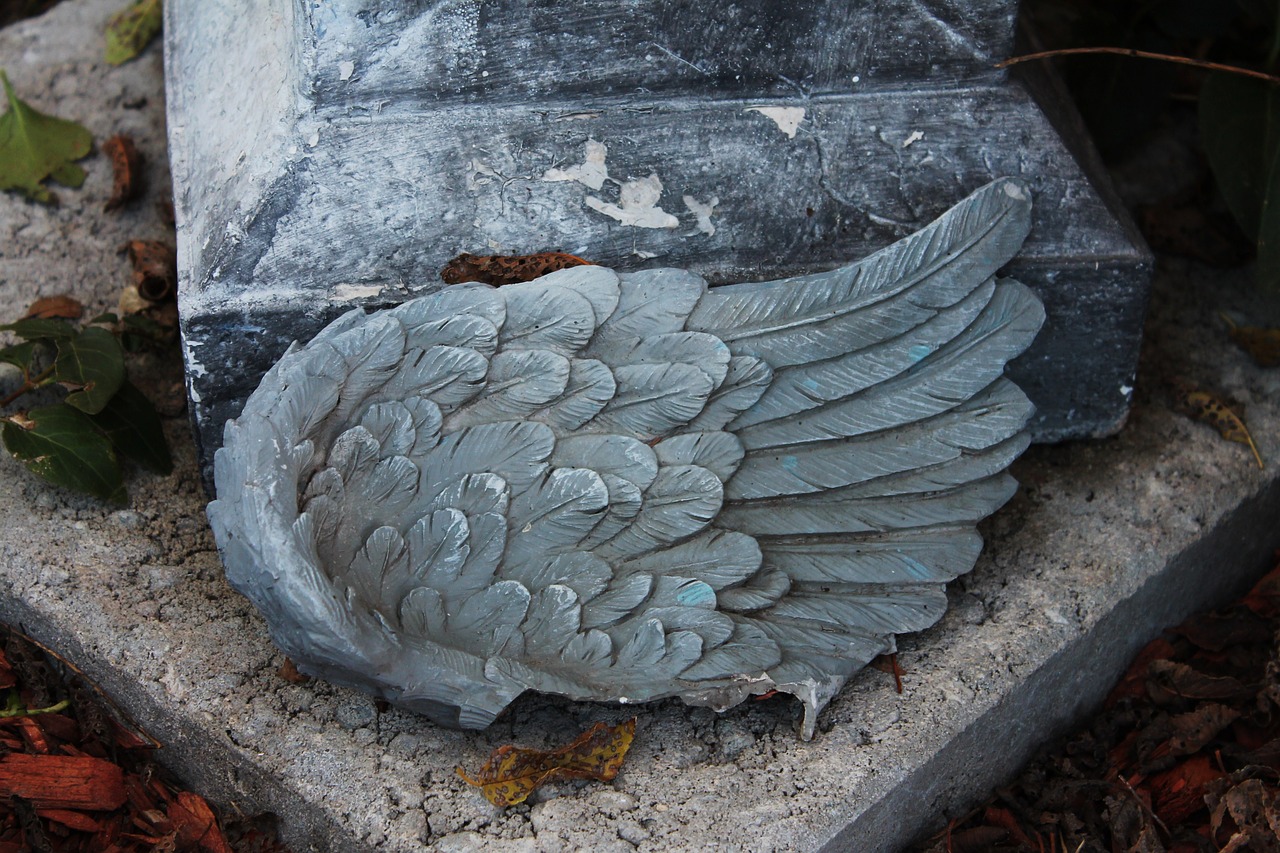 Image - angel wing angel wings heaven