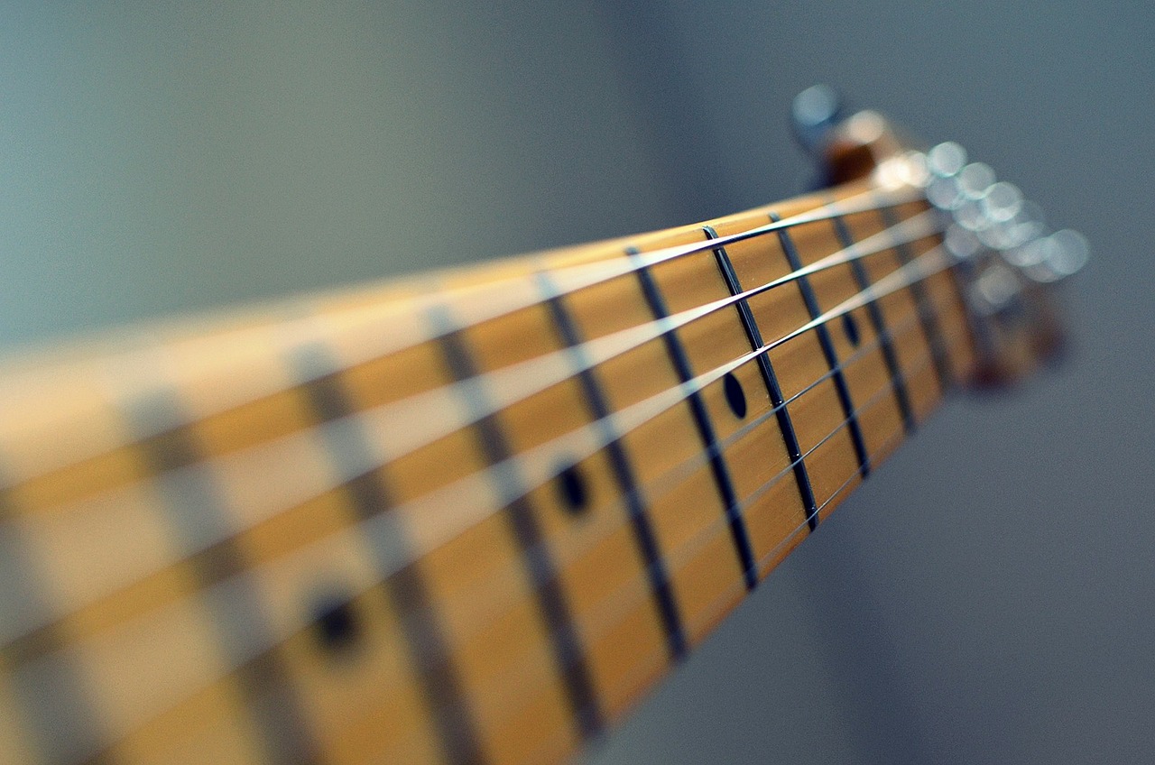 Image - guitar strings neck fret music