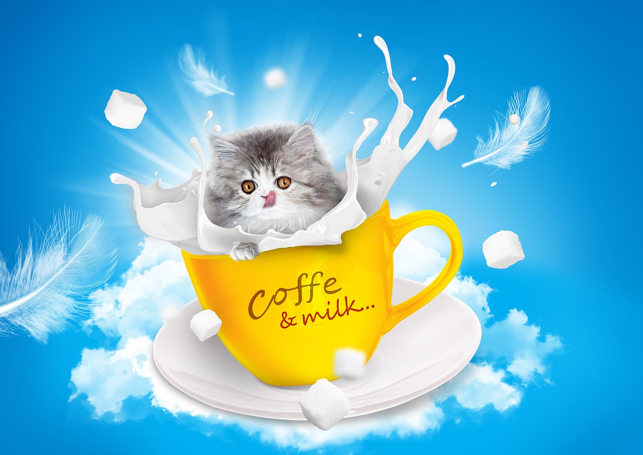 Image - cat milk teacup persian language