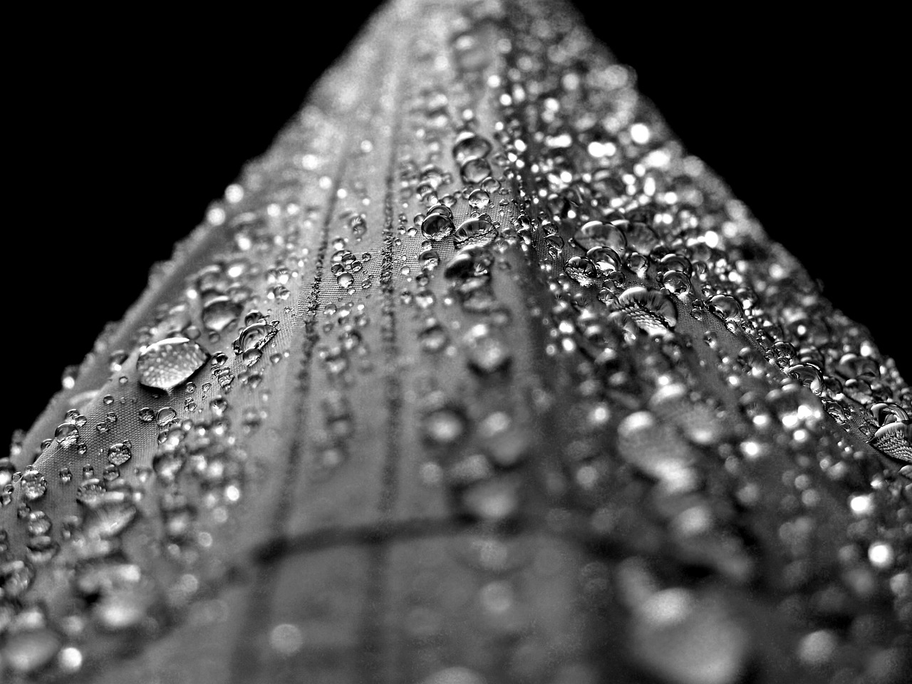 Image - water drops droplets rain liquid