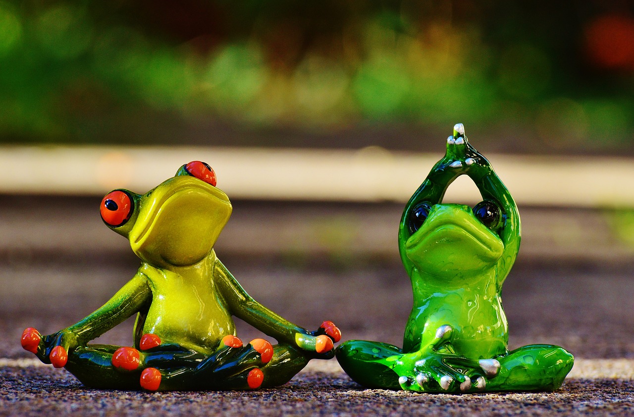 Image - frogs figure yoga gymnastics funny