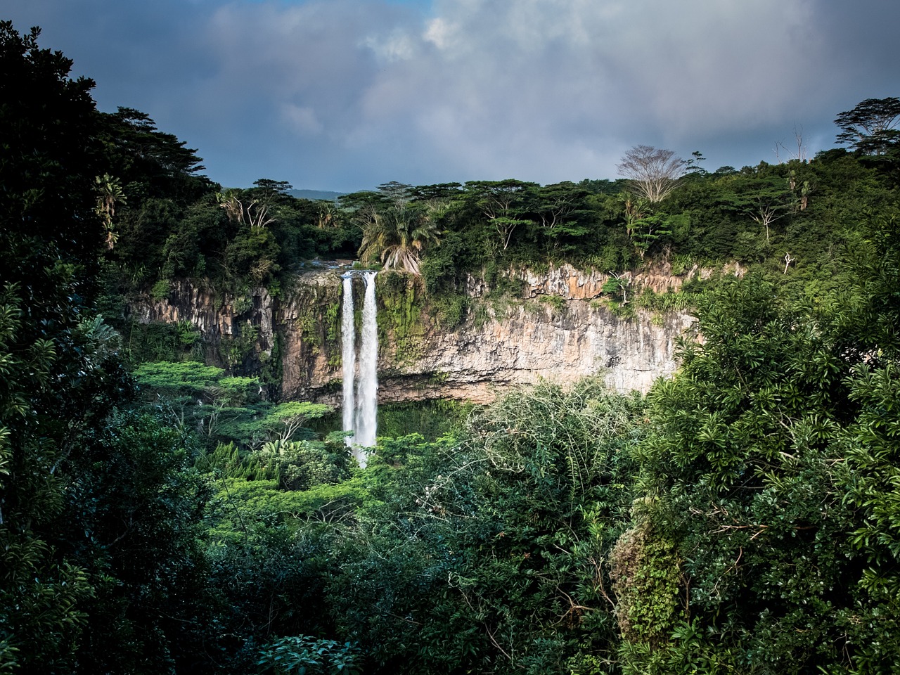 Image - waterfall jungle cliff stream