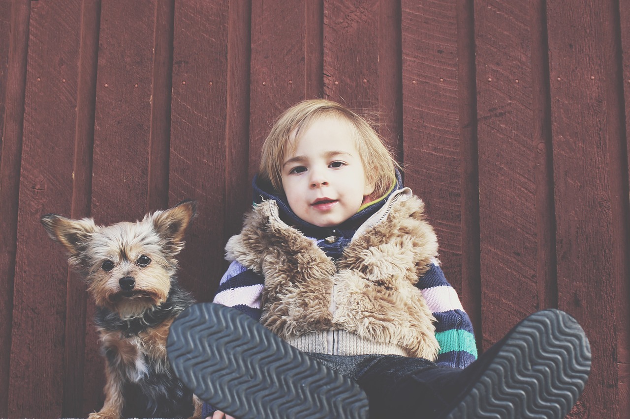 Image - child dog pet canine puppy