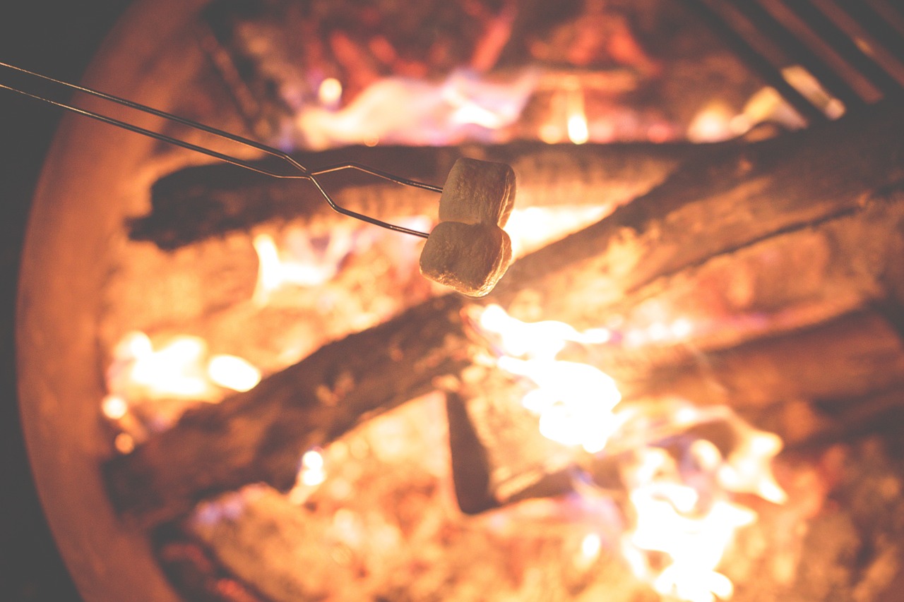 Image - campfire marshmallows fire camp