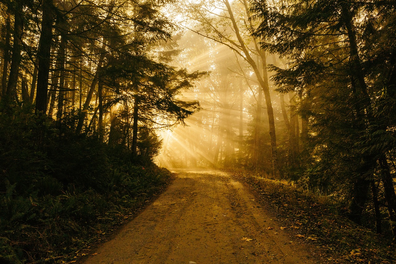 Image - sunbeam road light landscape