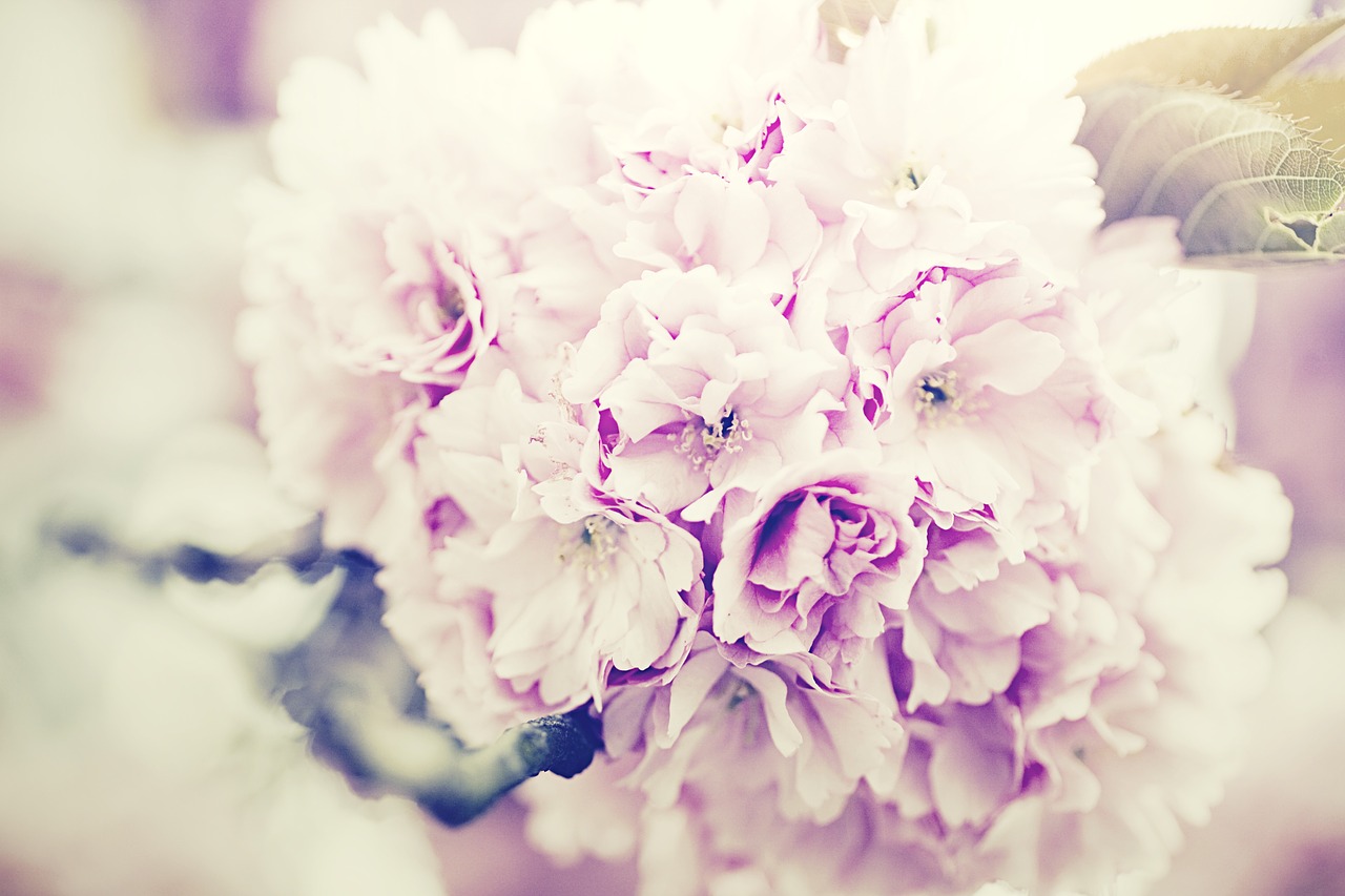 Image - flowers bouquet lilac