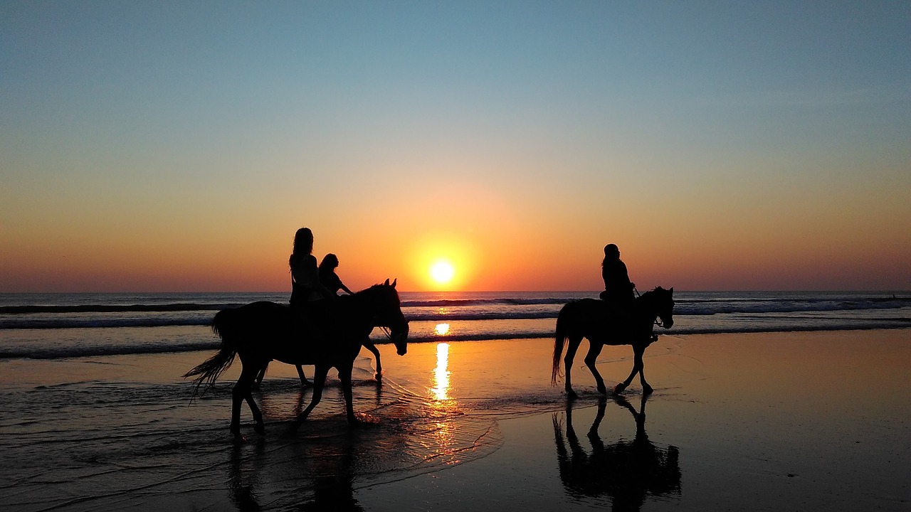 Image - seaside beach sundown silhouette