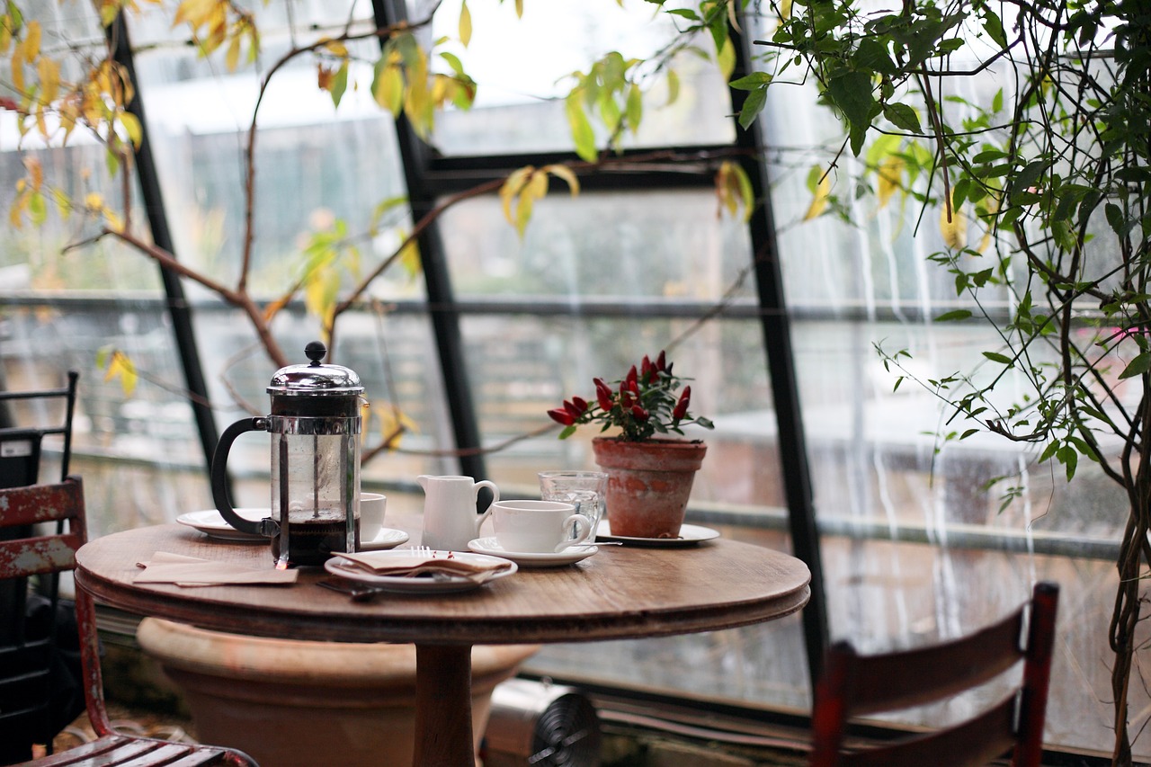 Image - conservatory coffee plants table