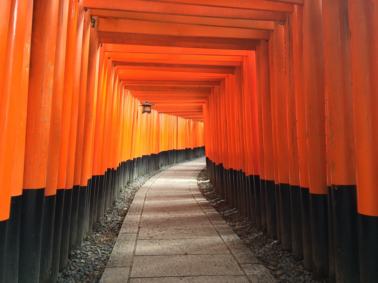 Image - shrine inari path temple pathway