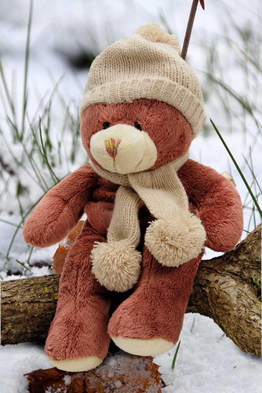 Image - bear bears teddy plush teddy bear