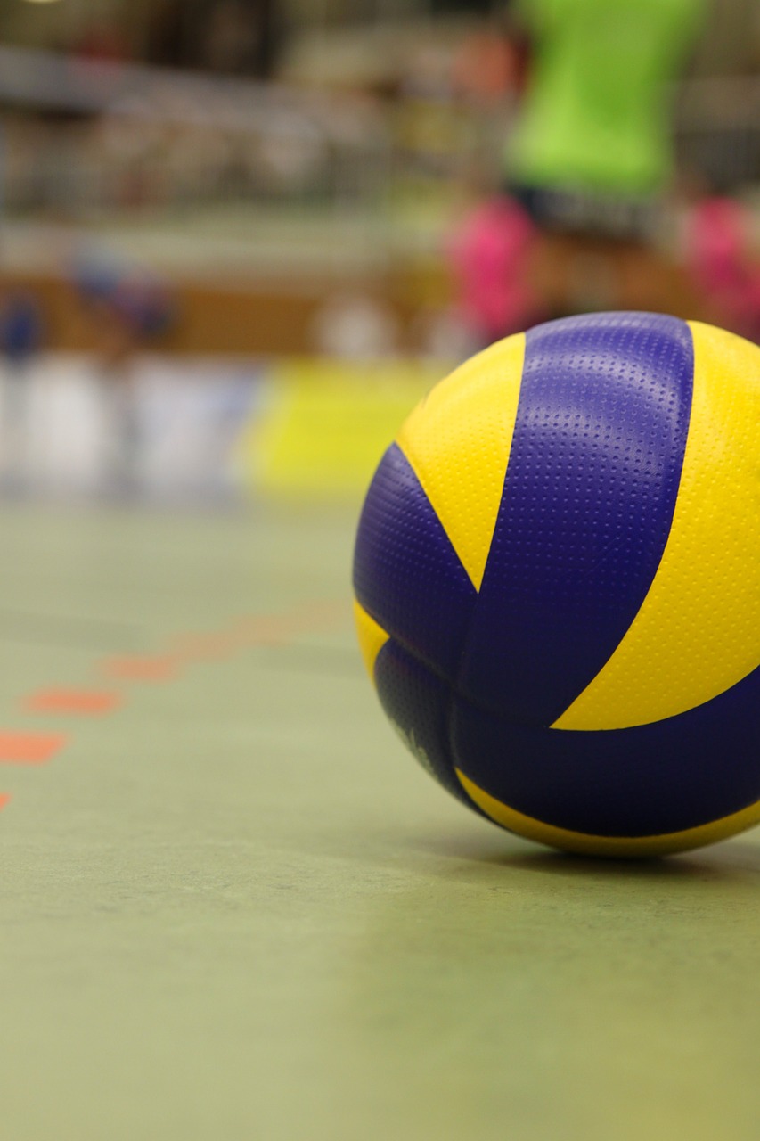 Image - volleyball sport ball volley