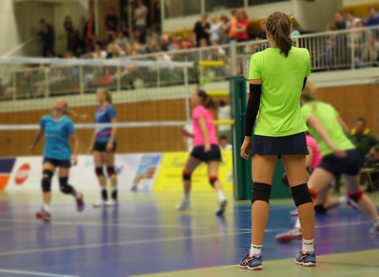 Image - volleyball sport ball volley