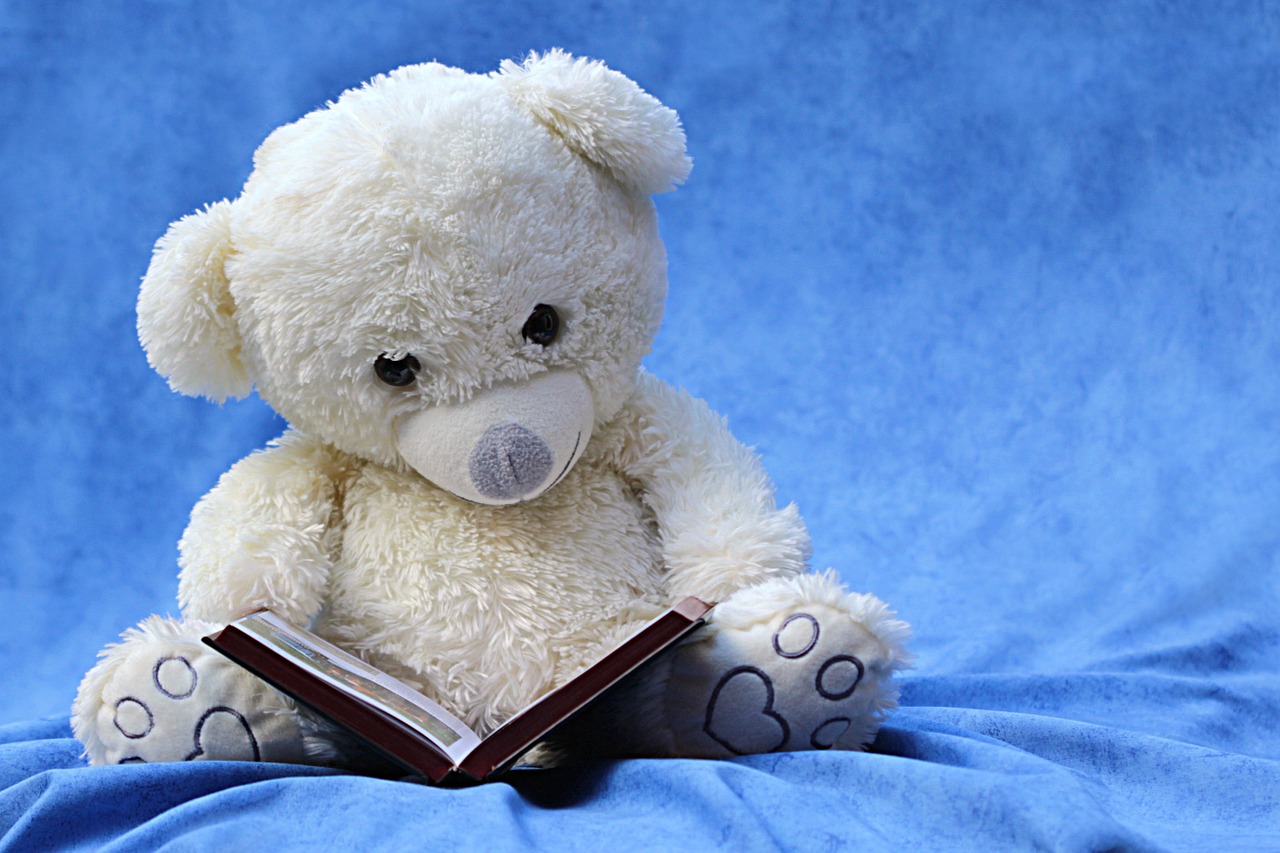 Image - still life teddy white read book
